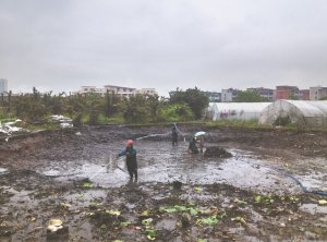 临猗河道鱼塘清淤